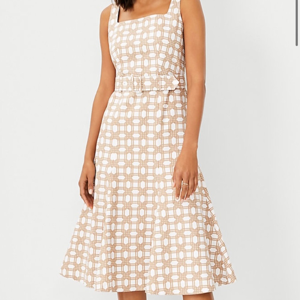 Rattan Print Belted Flare Dress